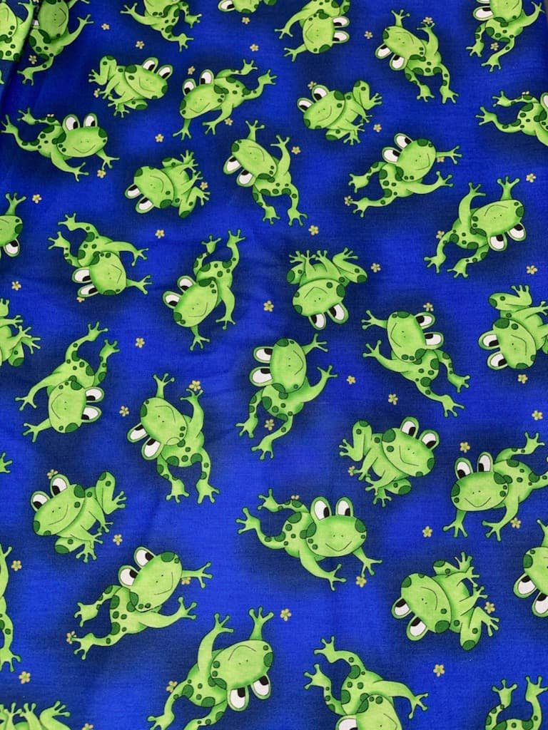 Froggy Pencil Bag