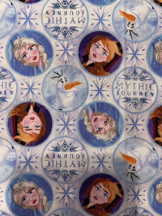 Frozen Pencil Bag Made From Licensed Frozen Fabric