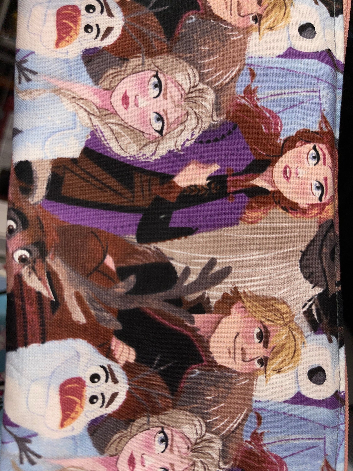 Pencil Bag Made From Licensed Frozen/Disney Fabric